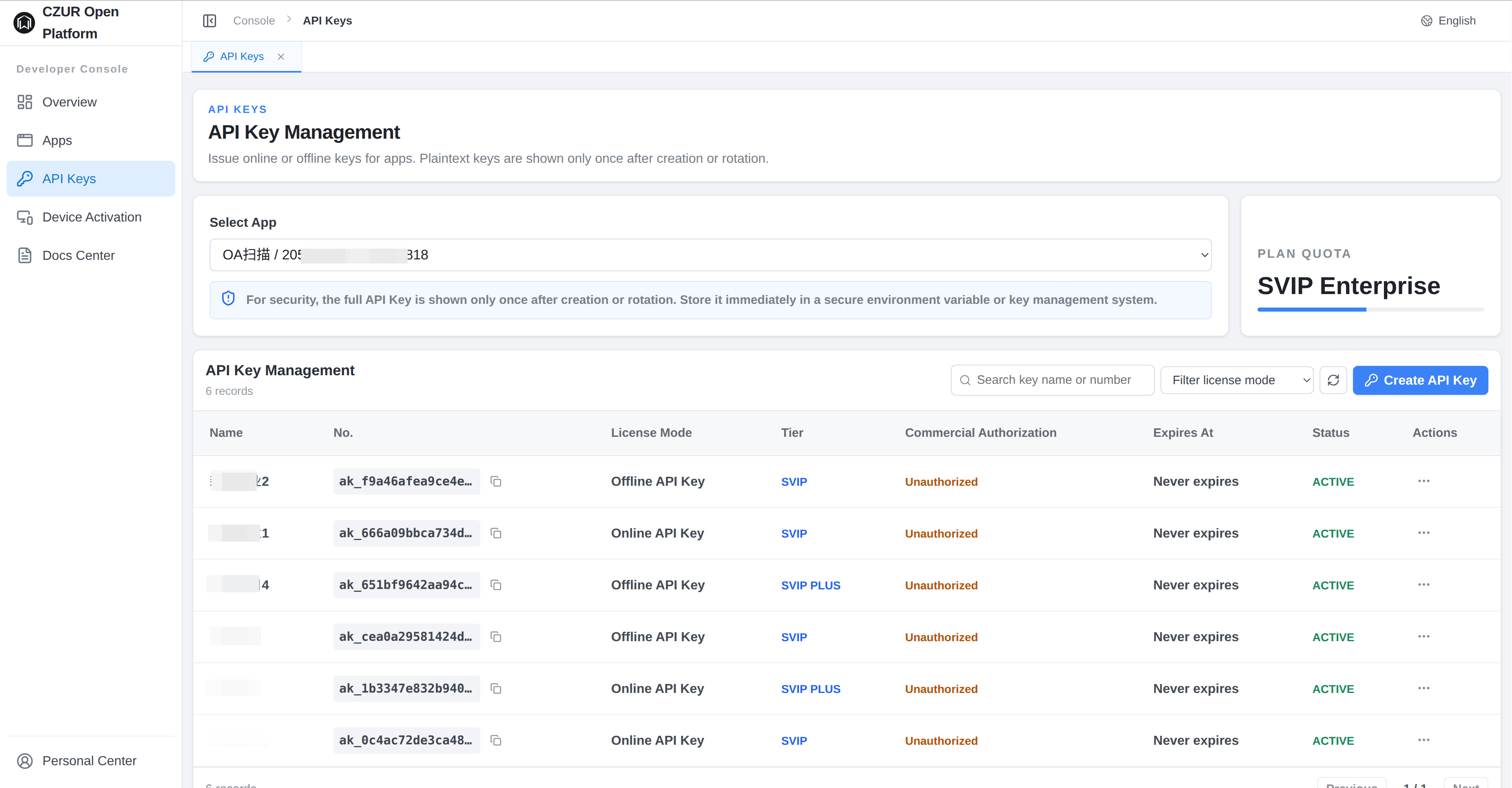 API Key management page