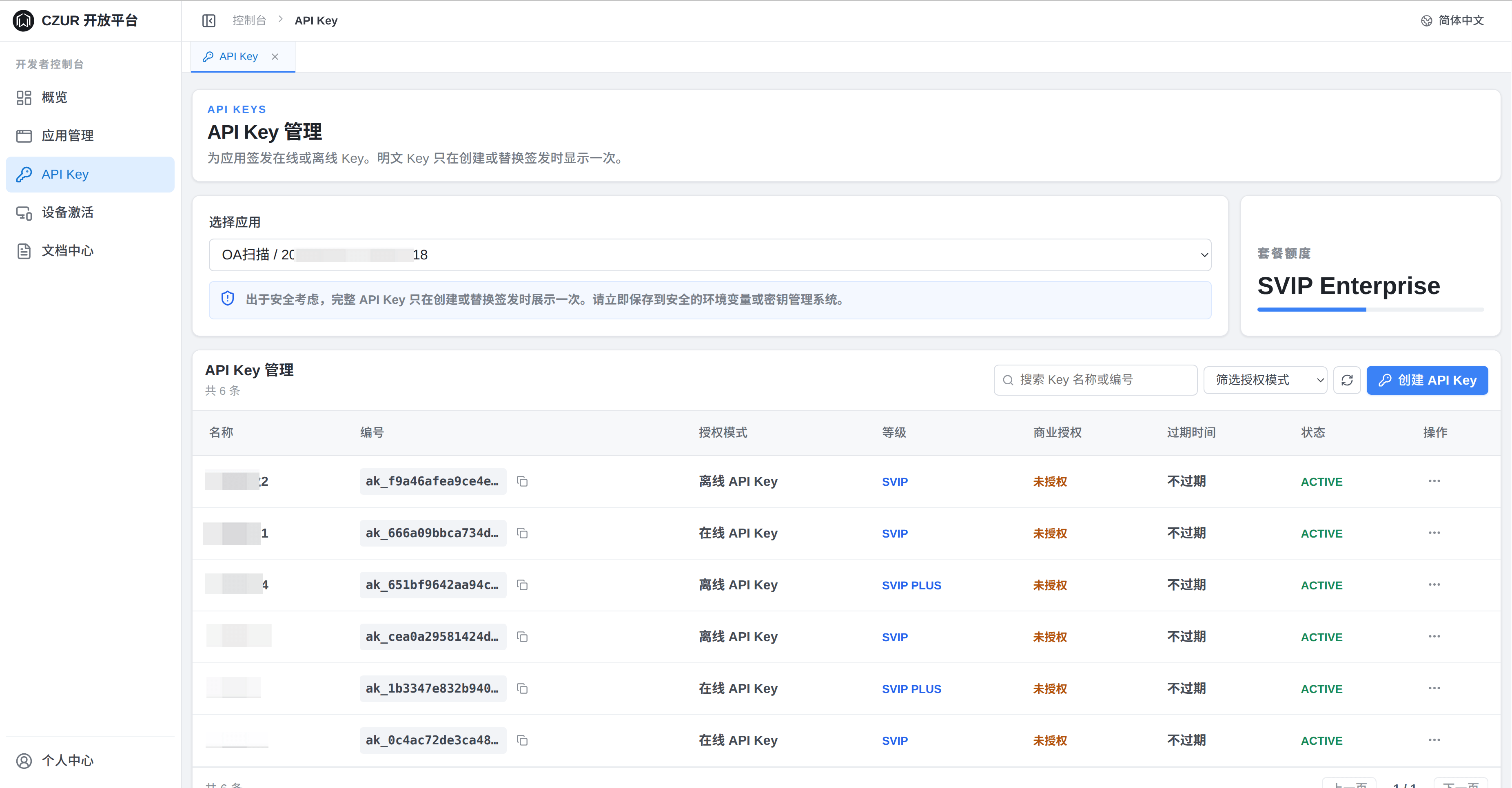 API Key 管理页面